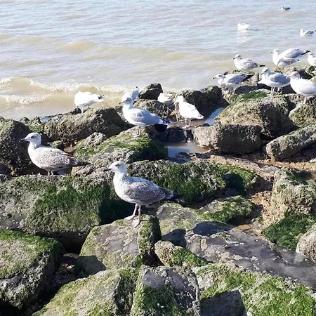 In St-idesbald Near The Sea, Cleaning Included Hébergement de vacances Saint-Idesbald